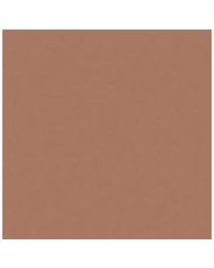 Rosco Roscolux Chocolate, 20" x 24" Color Effects Lighting Filter